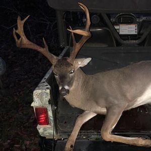 Meet your Posher, Andy